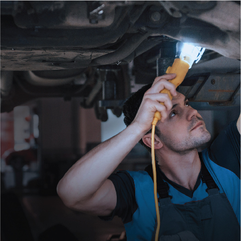 Ford Vehicle Inspection