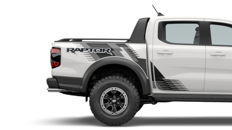 Matte Black Raptor Decals & Sport Hoop