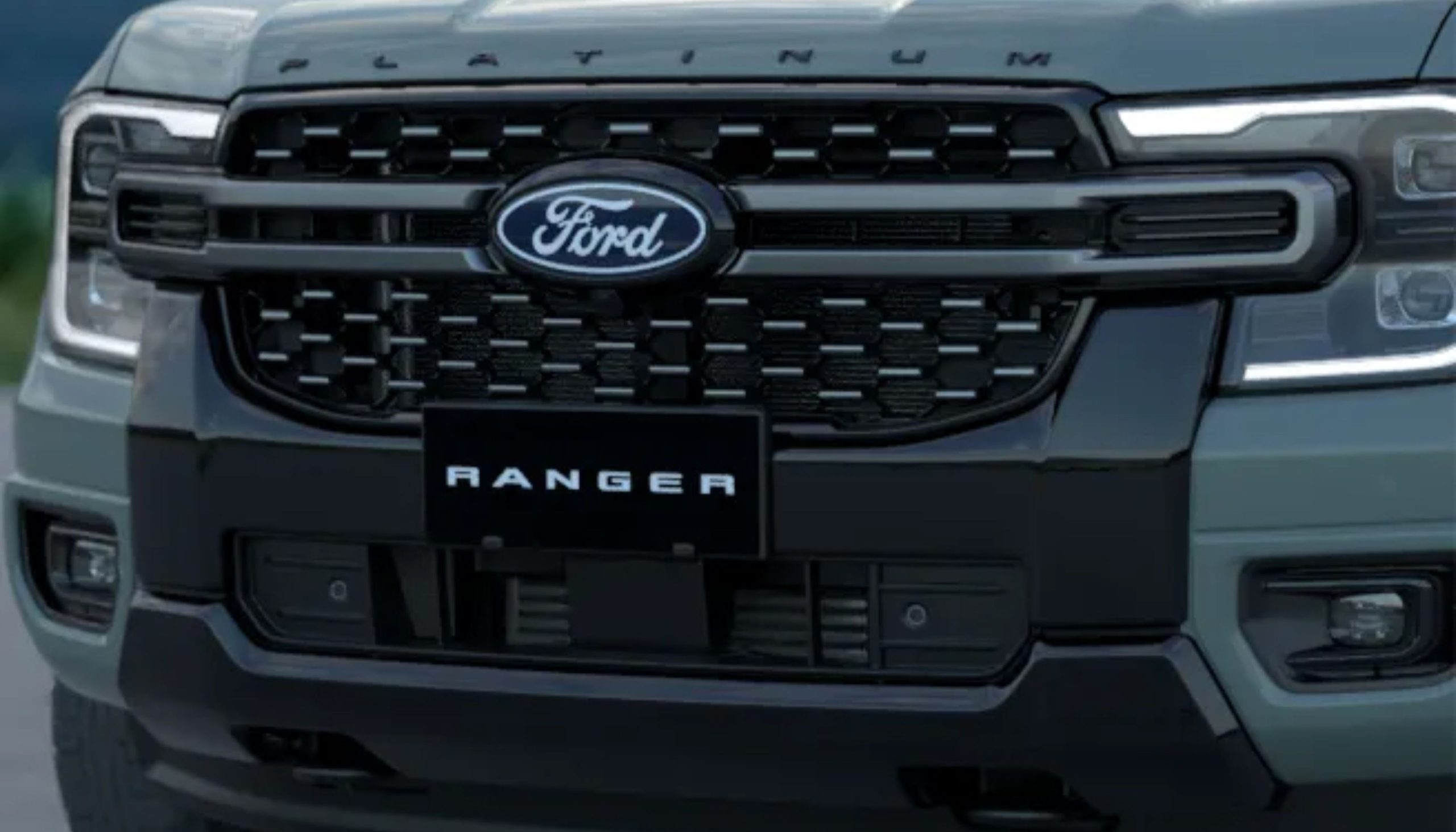 Special Black Platinum Grille